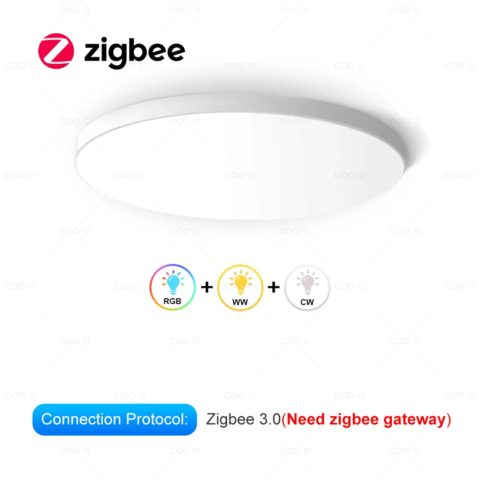 Smart LED Ceiling Lamp - WiFi RGBCW Alexa Voice Control